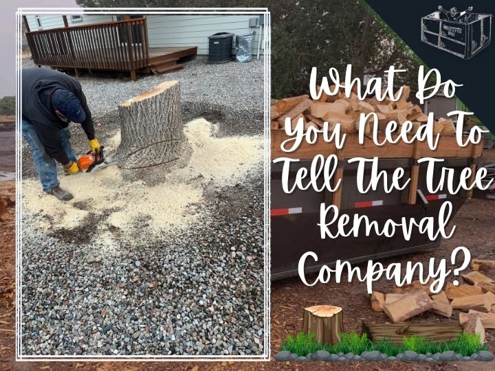 Dumpster Dan has experience handling stump removal 