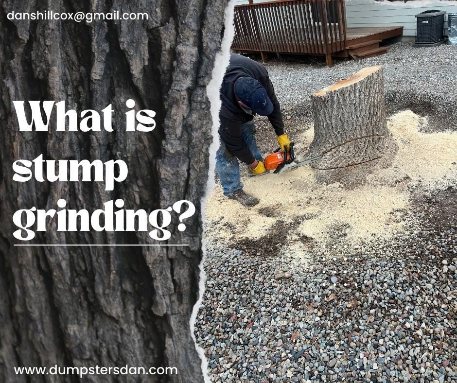 Expert stump grinding services in Grand Junction