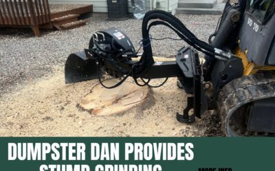 Say Goodbye to Unsightly Stumps with Dumpster Dan’s Expert Stump Grinding Services in Grand Junction, CO.