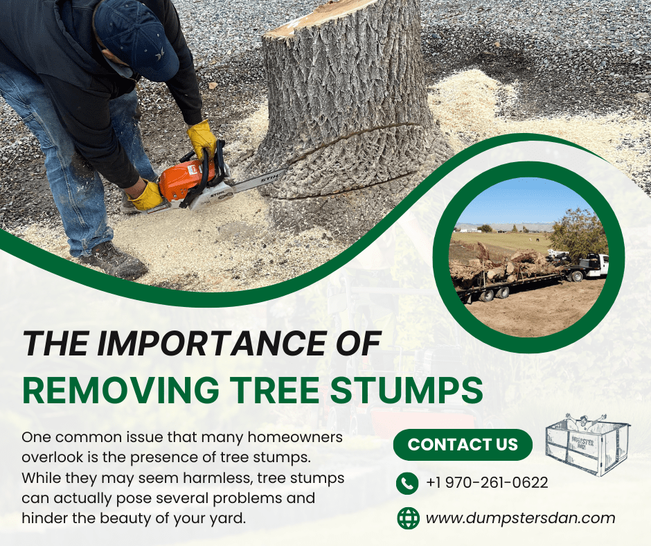 While they may seem harmless, tree stumps can actually pose several problems and hinder the beauty of your yard.
