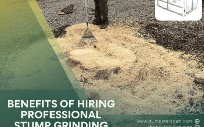 Revamp Your Outdoor Space with Dumpster Dan’s Professional Stump Grinding Services in Fruita and Grand Junction, Colorado